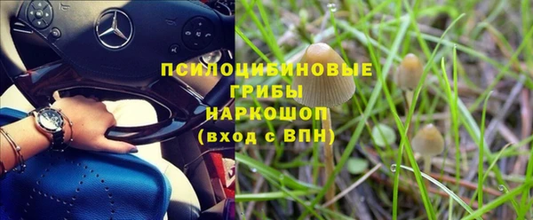 стафф Кукмор