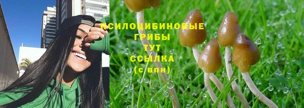 MESCALINE Зерноград